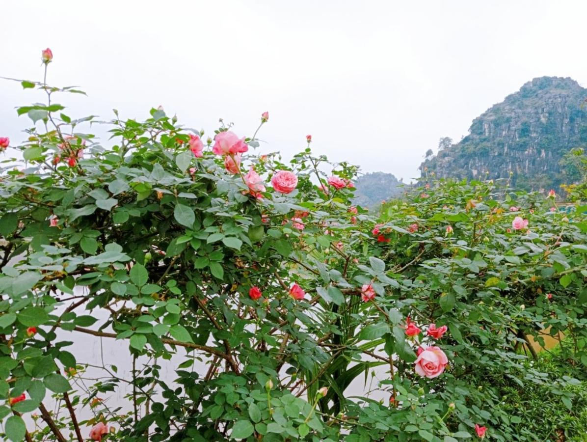 Ninh Binh Green Farmstay La Phu  Kültér fotó