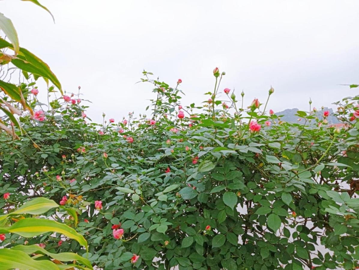 Ninh Binh Green Farmstay La Phu  Kültér fotó