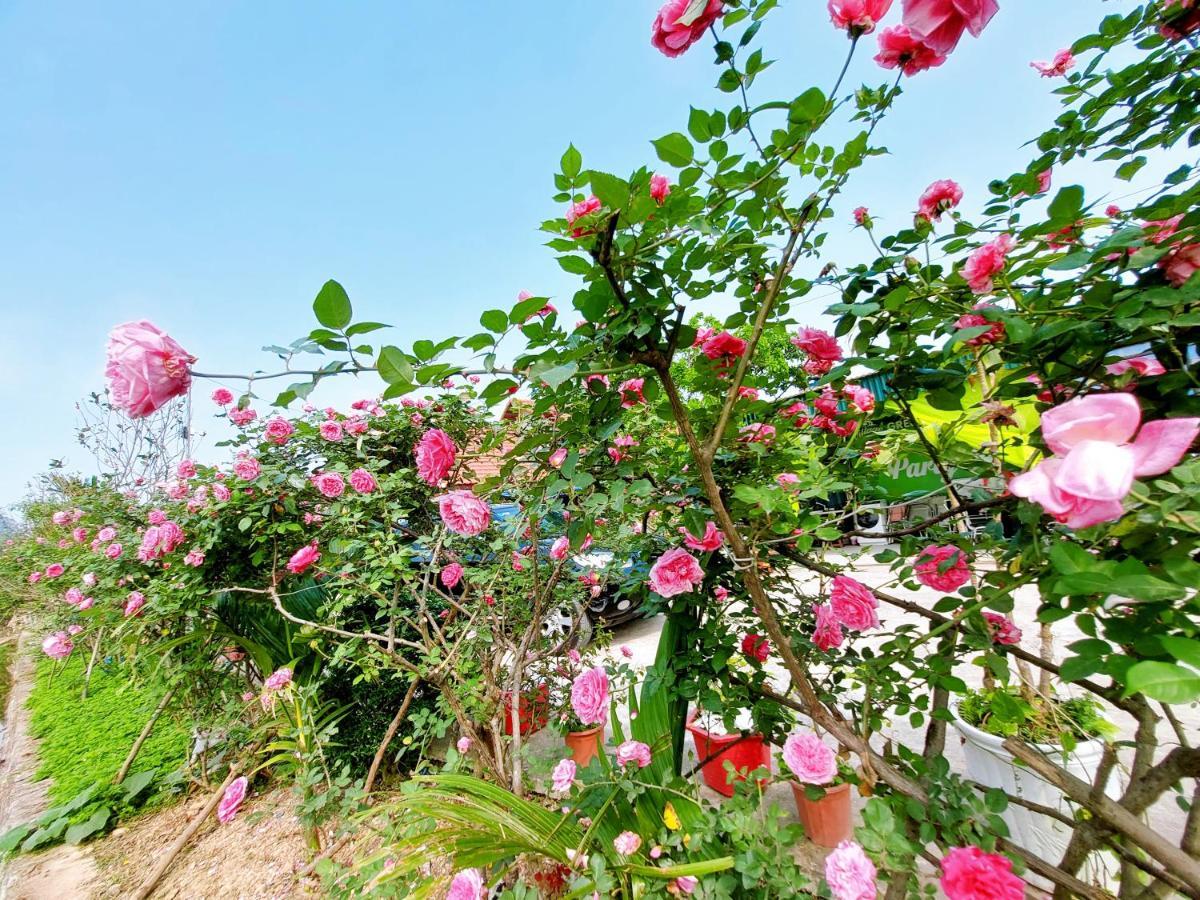 Ninh Binh Green Farmstay La Phu  Kültér fotó