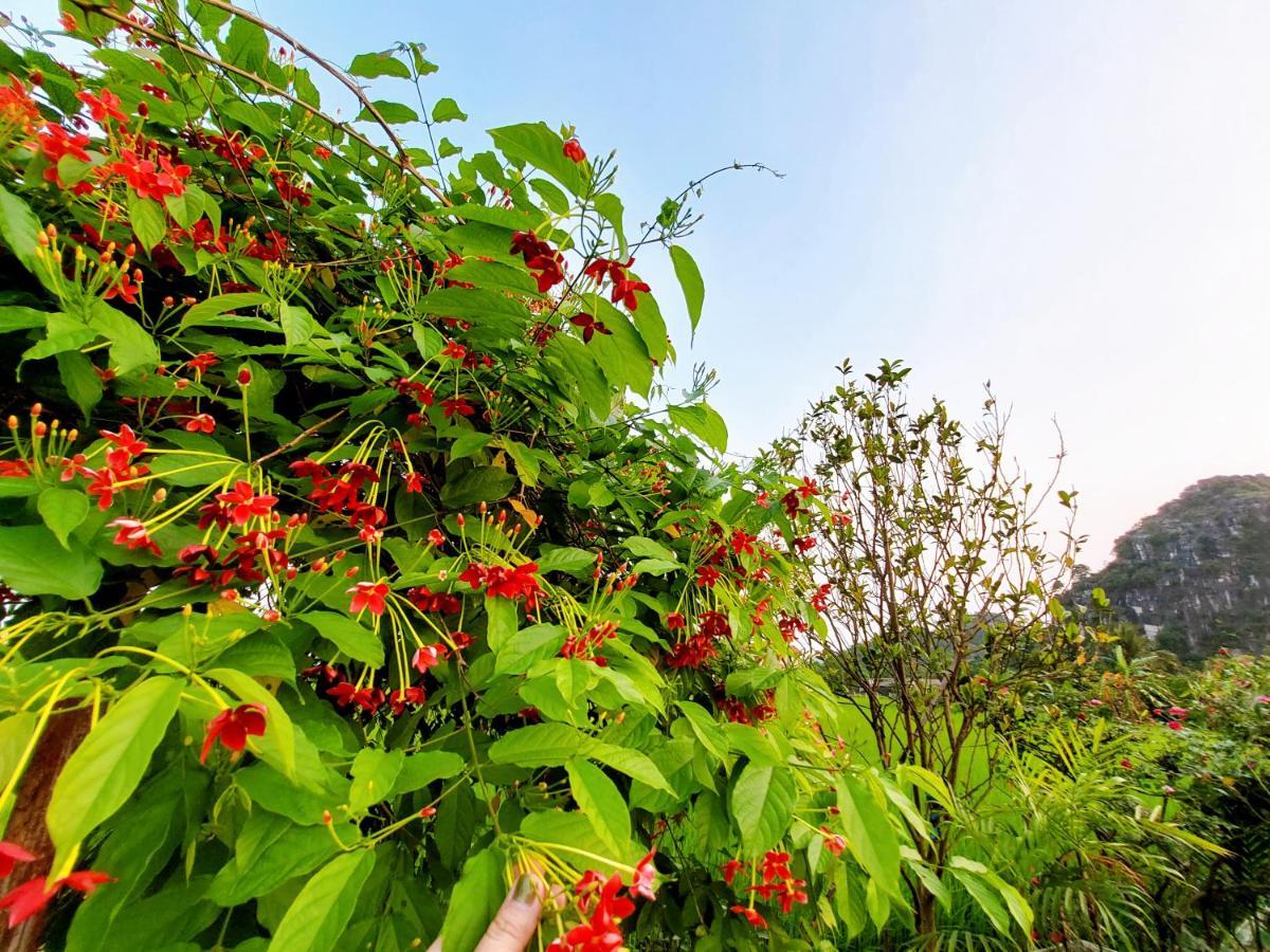 Ninh Binh Green Farmstay La Phu  Kültér fotó