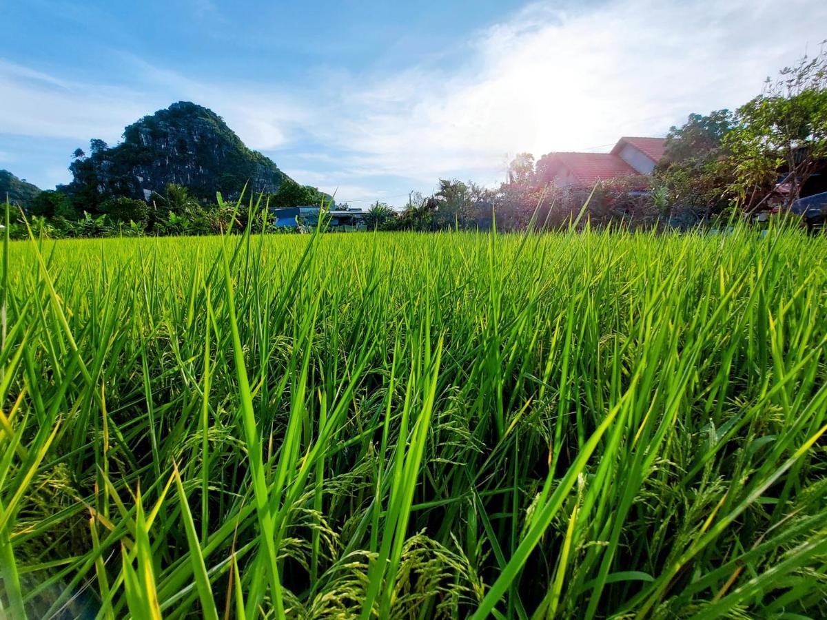 Ninh Binh Green Farmstay La Phu  Kültér fotó