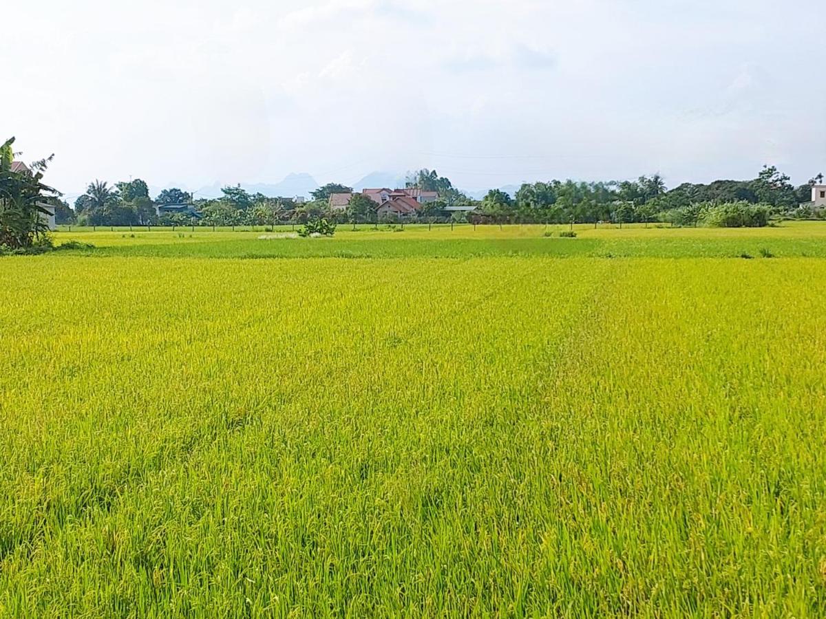 Ninh Binh Green Farmstay La Phu  Kültér fotó