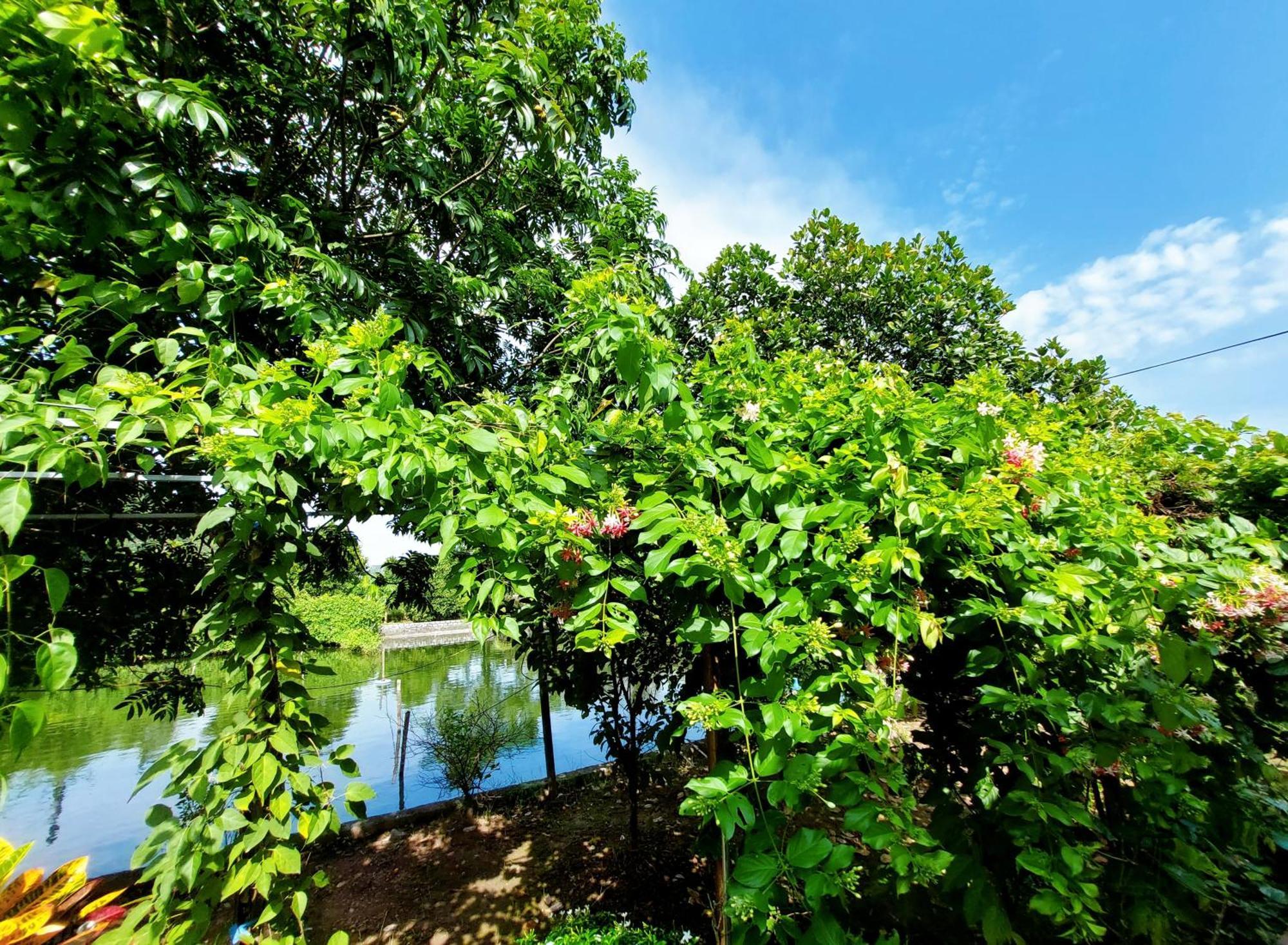 Ninh Binh Green Farmstay La Phu  Kültér fotó