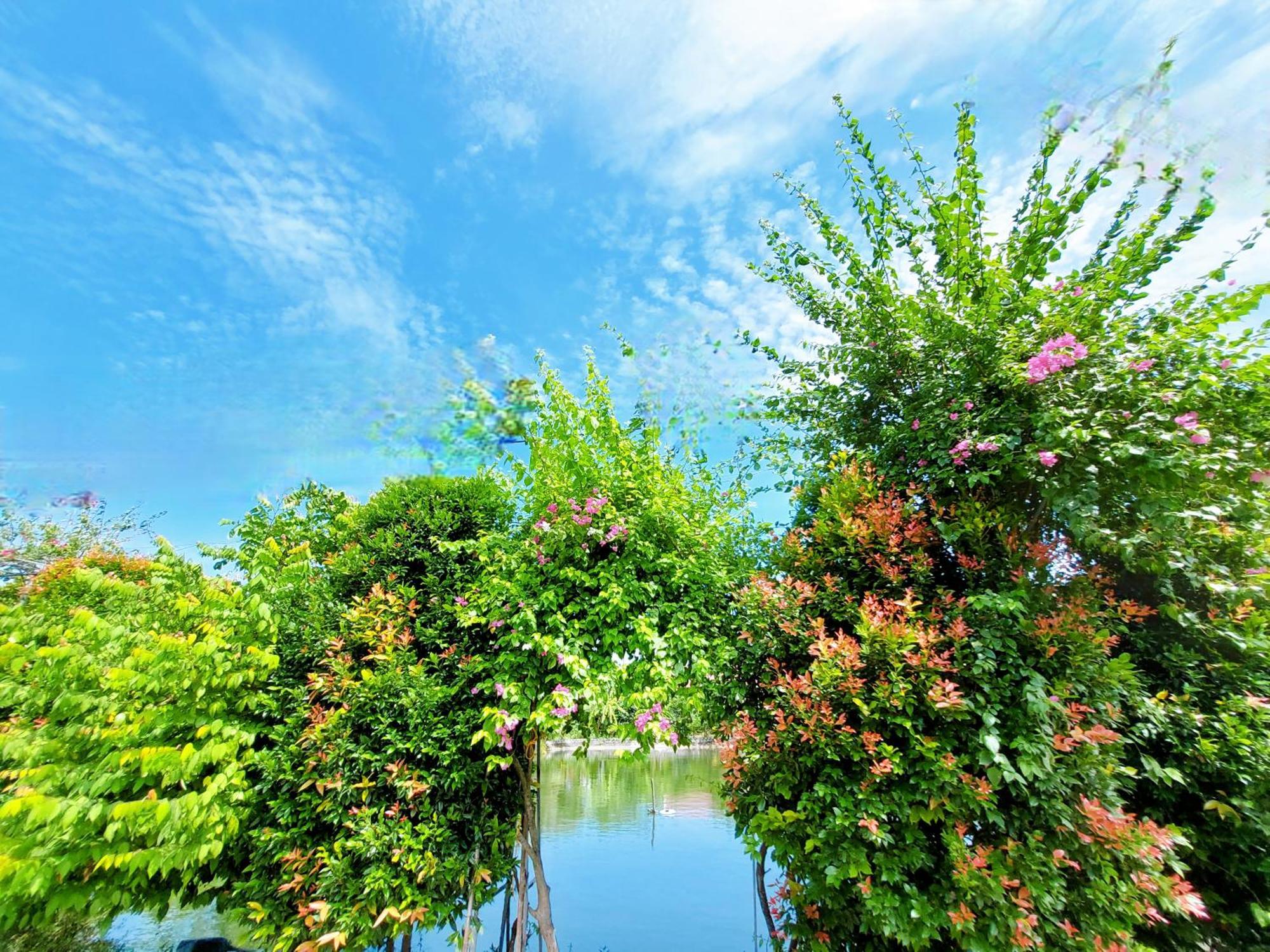 Ninh Binh Green Farmstay La Phu  Kültér fotó
